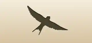 Swallow