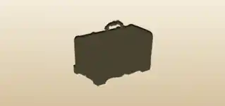 Chest