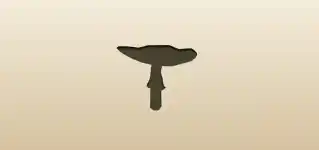 Fly Agaric Mushroom