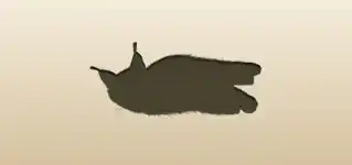 Lynx