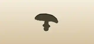 Fly Agaric Mushroom