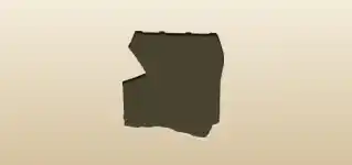 Chest