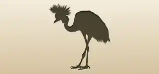 Crane