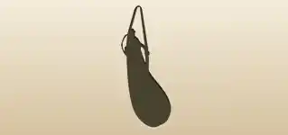 Wineskin
