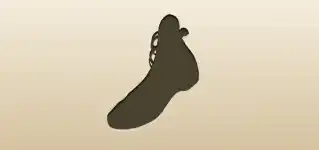 Shoe