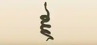 ヘビ