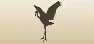 Crane