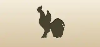Rooster