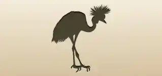 Crane
