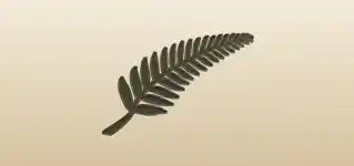 Fern