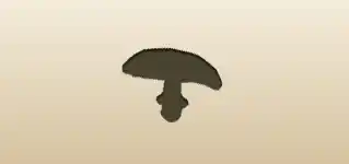 Fly Agaric Mushroom