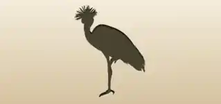Crane