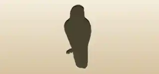Hawk