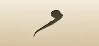 Pipe