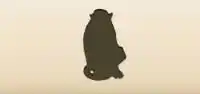 サル