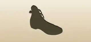 Shoe