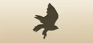 Hawk