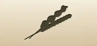 Lollipops