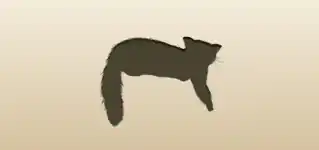 Red Panda