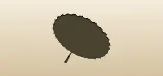 Oil-Paper Umbrella