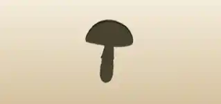 Fly Agaric Mushroom