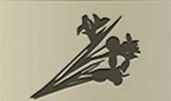 Irises silhouette