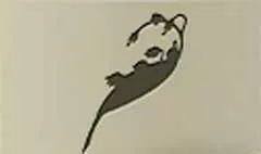 スズランのシルエット