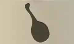 鏡のシルエット
