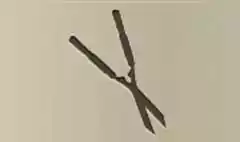庭用ハサミのシルエット