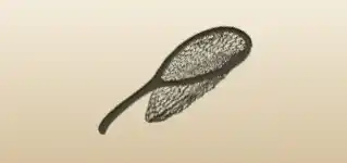 網のシルエット
