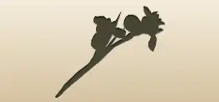 アヤメのシルエット