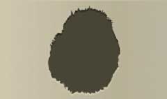 Hedgehog silhouette