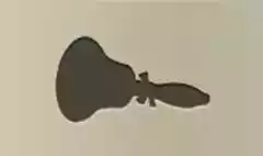 ベルのシルエット