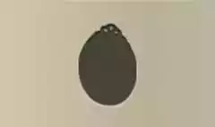 鏡のシルエット