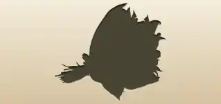 スズランのシルエット