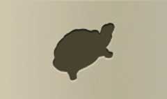 Turtle silhouette