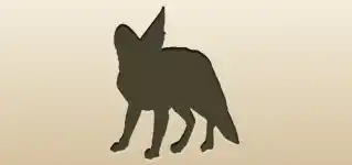 Fennec Fox