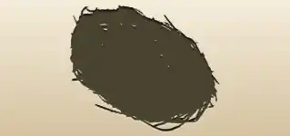 Nest