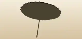 Oil-Paper Umbrella