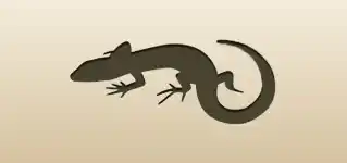 Lizard