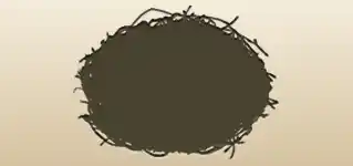 Nest