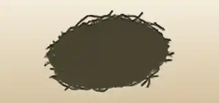 Nest