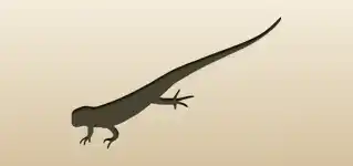 Lizard