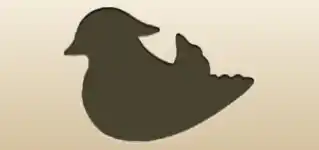Mandarin Duck