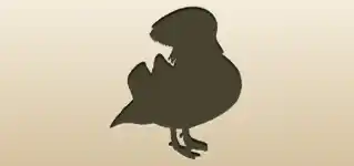 Mandarin Duck