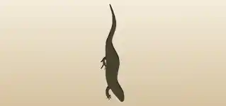 Lizard