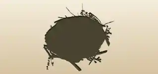 Nest