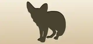 Fennec Fox