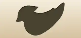Mandarin Duck