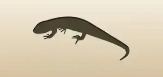 Lizard